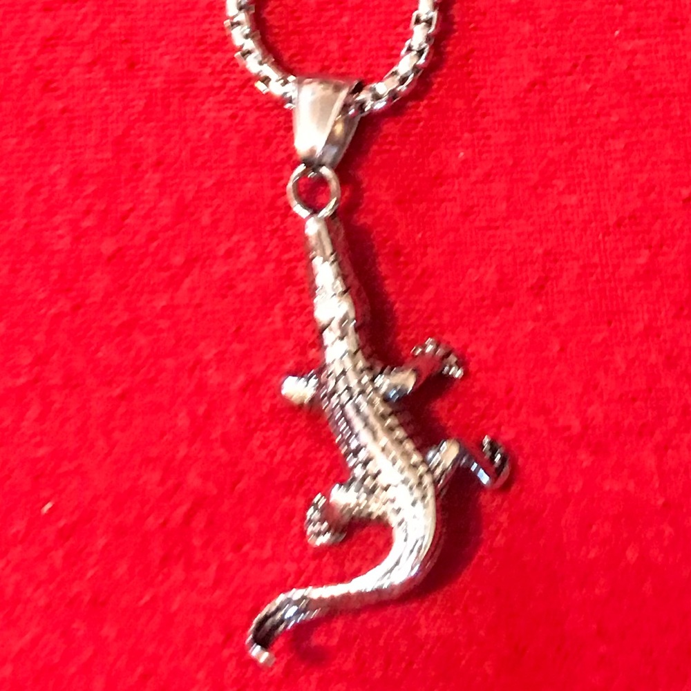 ALLIGATOR - Picture 5 of 5
